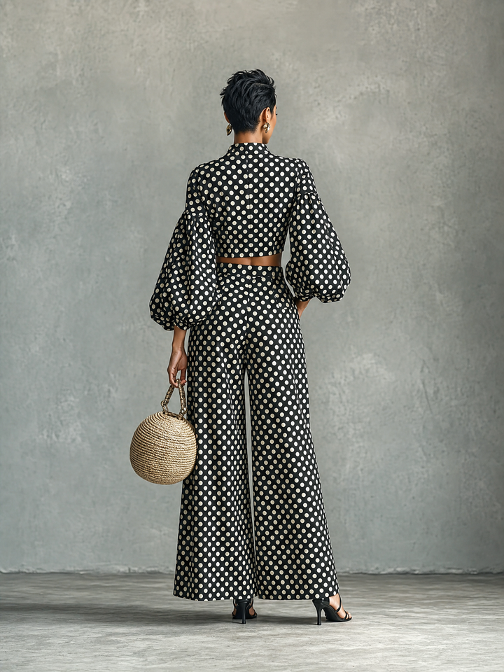 Women's Minimalist Polka-Dot Lantern-Sleeve Blouse And Wide-Leg Pants Set MDZ0967G6WY
